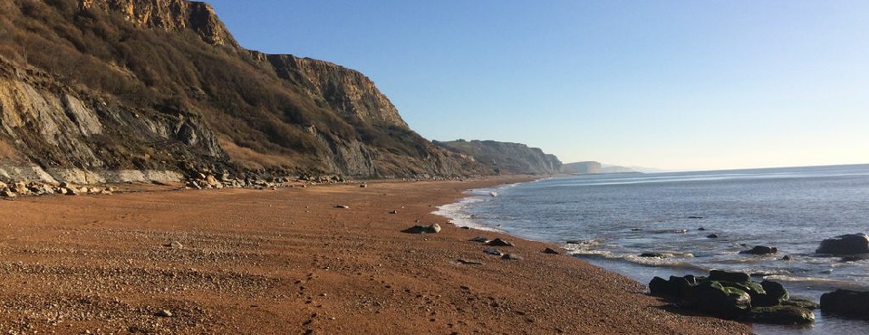 West Dorset Retreat - Local Coastline - Jurassic 