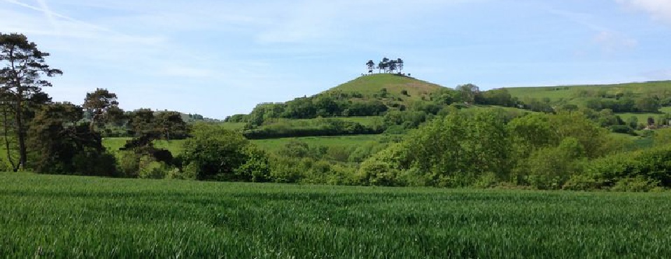 West Dorset Retreat - Local Landmark View - Colmer Hill