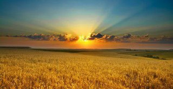 Opportunities for enjoying life, Relaxation Training Course for Top Spas