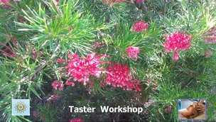 NSR Facilitor Training for the Introduction Course